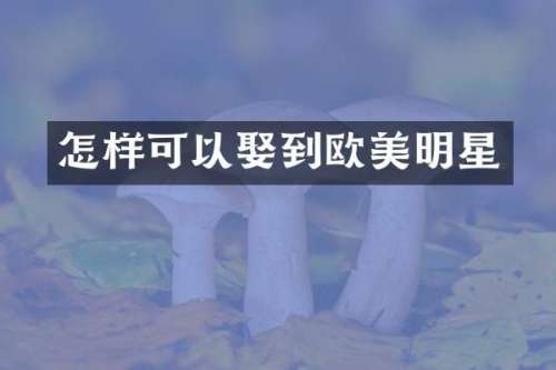 怎样可以娶到欧美明星