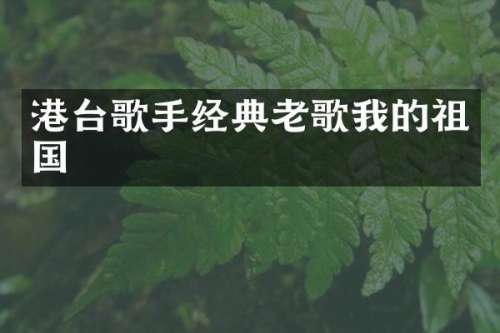 港台歌手经典老歌我的祖国