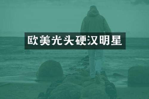 欧美光头硬汉明星