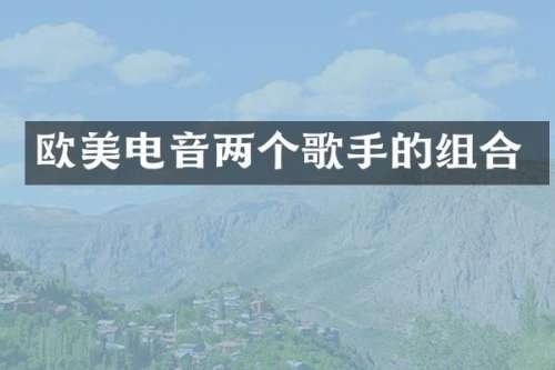 欧美电音两个歌手的组合