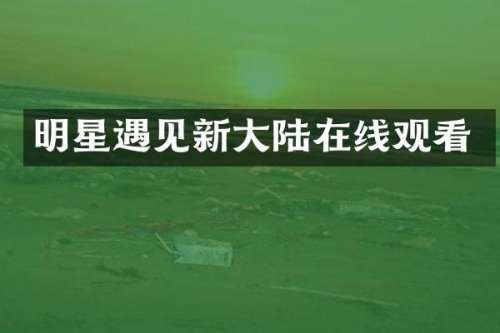 明星遇见新大陆在线观看