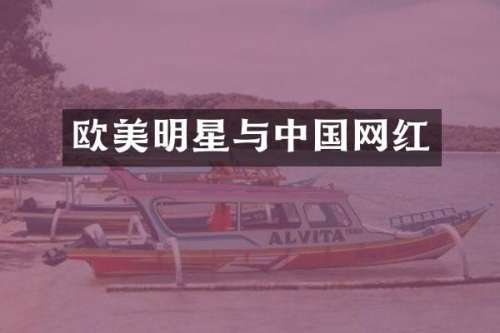 欧美明星与中国网红