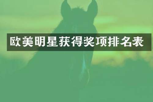 欧美明星获得奖项排名表