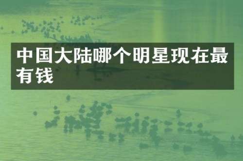 中国大陆哪个明星现在最有钱