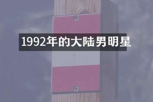 1992年的大陆男明星