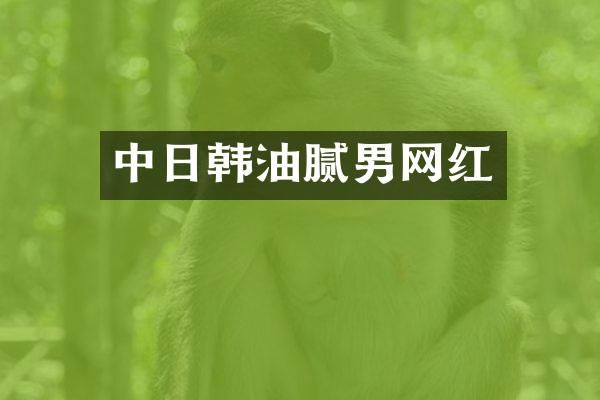 中日韩油腻男网红