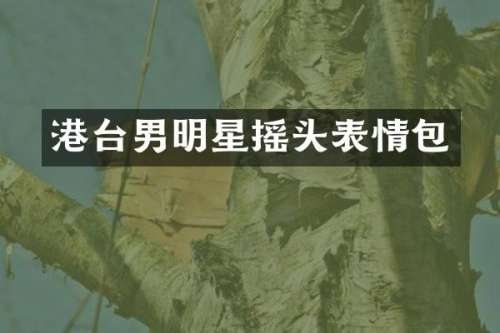 港台男明星摇头表情包