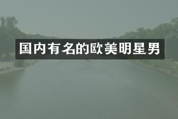 国内有名的欧美明星男