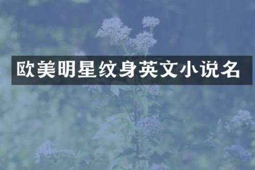 欧美明星纹身英文小说名