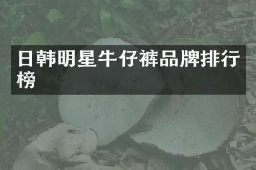 日韩明星牛仔裤品牌排行榜