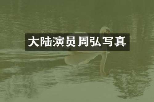 大陆演员周弘写真