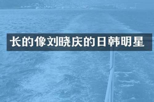 长的像刘晓庆的日韩明星