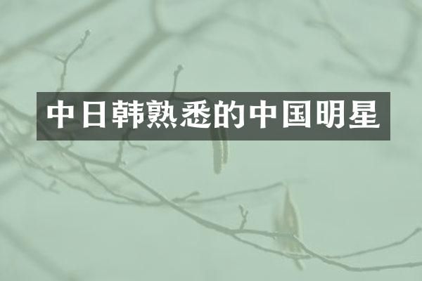 中日韩熟悉的中国明星