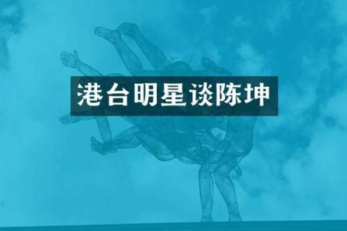 港台明星谈陈坤