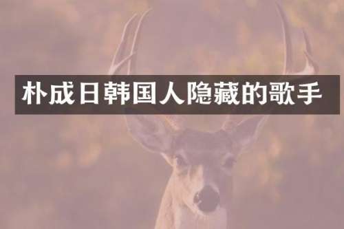 朴成日韩国人隐藏的歌手