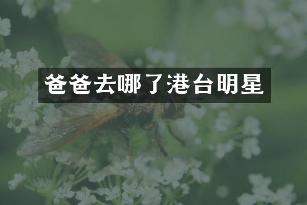 爸爸去哪了港台明星