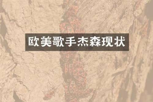欧美歌手杰森现状