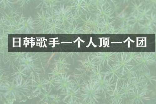 日韩歌手一个人顶一个团