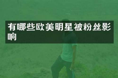 有哪些欧美明星被粉丝影响