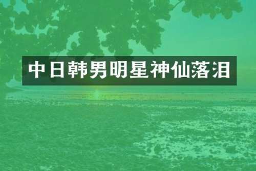 中日韩男明星神仙落泪