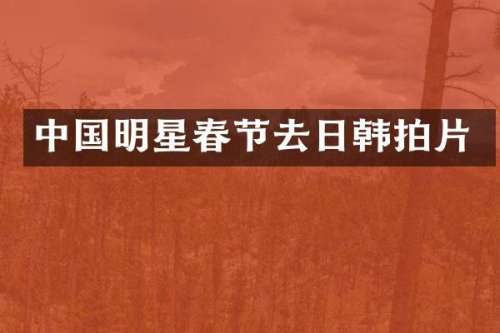 中国明星春节去日韩拍片