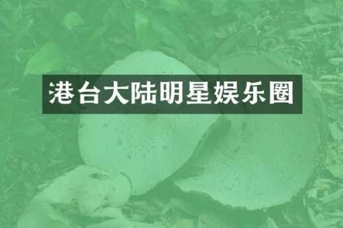 港台大陆明星娱乐圈