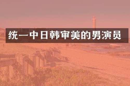 统一中日韩审美的男演员