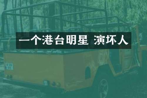一个港台明星 演坏人