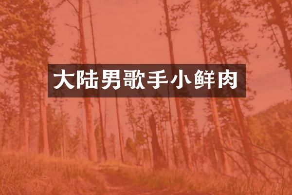 大陆男歌手小鲜肉