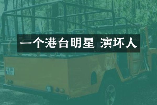 一个港台明星 演坏人
