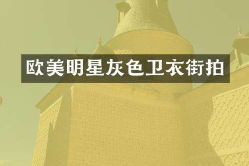 欧美明星灰色卫衣街拍