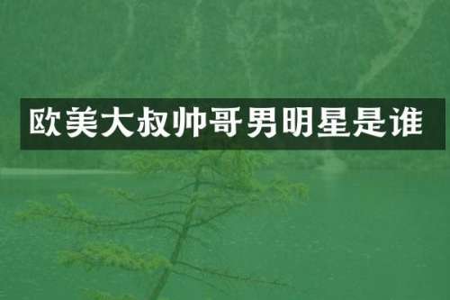 欧美大叔帅哥男明星是谁