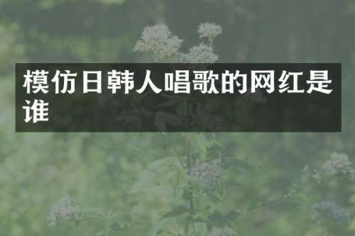 模仿日韩人唱歌的网红是谁