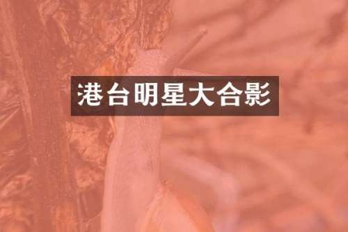 港台明星大合影