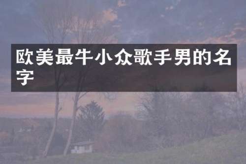 欧美最牛小众歌手男的名字