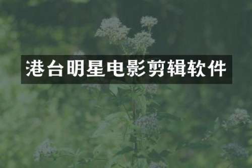 港台明星电影剪辑软件