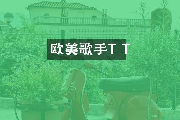 欧美歌手T T