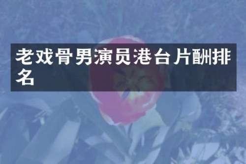 老戏骨男演员港台片酬排名
