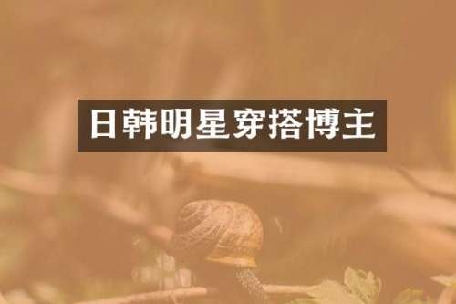 日韩明星穿搭博主