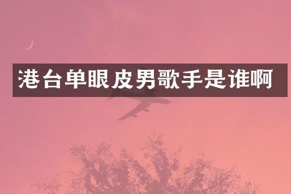 港台单眼皮男歌手是谁啊