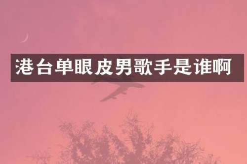 港台单眼皮男歌手是谁啊