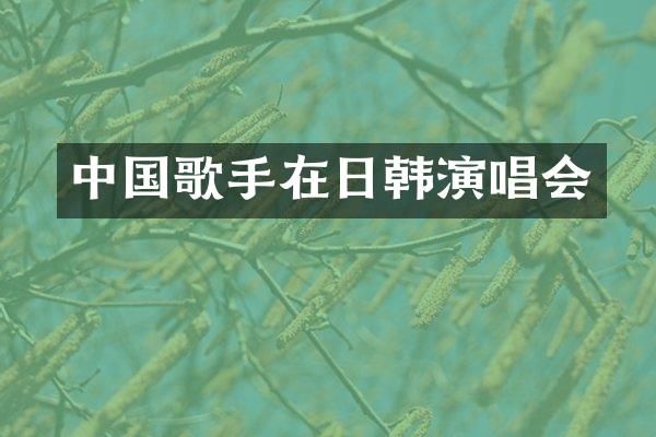 中国歌手在日韩演唱会