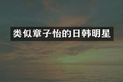 类似章子怡的日韩明星