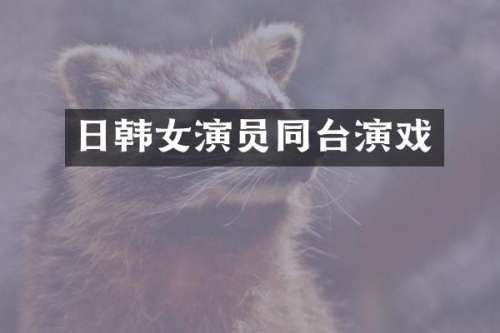 日韩女演员同台演戏