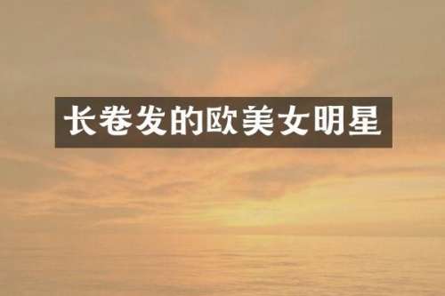 长卷发的欧明星