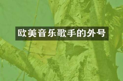 欧美音乐歌手的外号