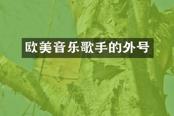 欧美音乐歌手的外号