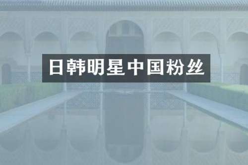 日韩明星中国粉丝