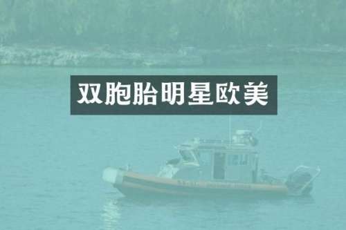双胞胎明星欧美
