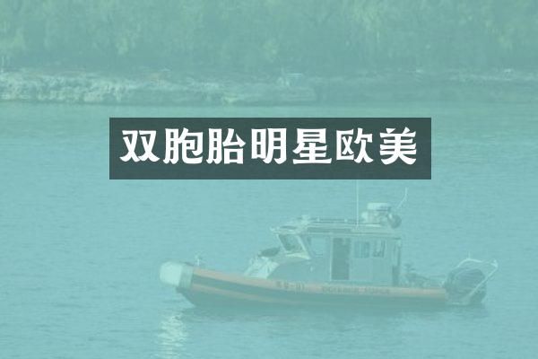 双胞胎明星欧美